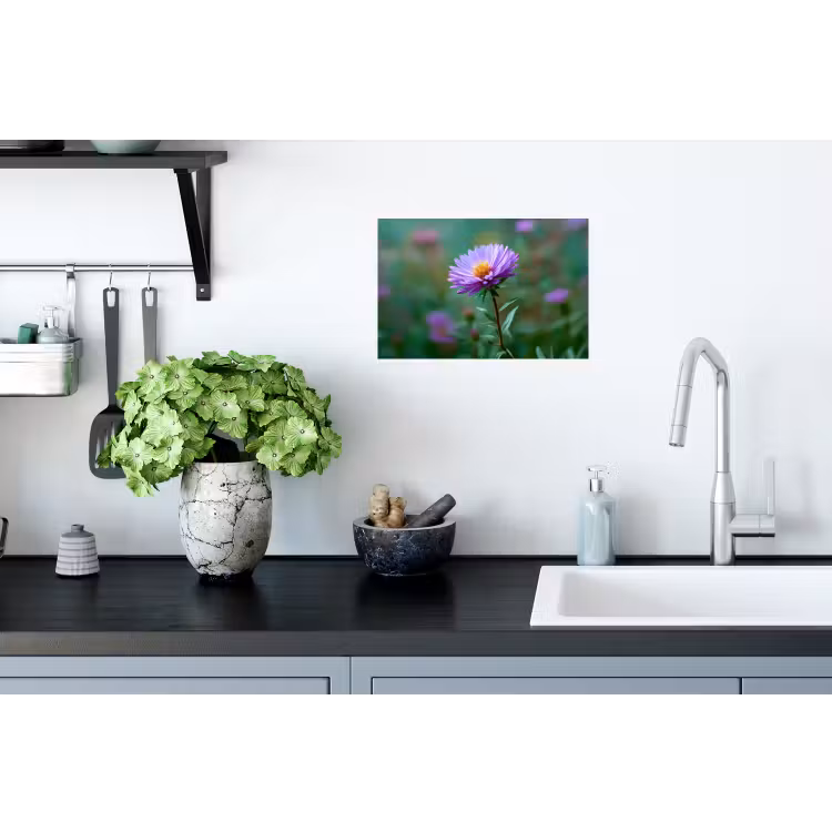 Aster - Paars - Bloem - Blaadjes Muursticker klein -keuken