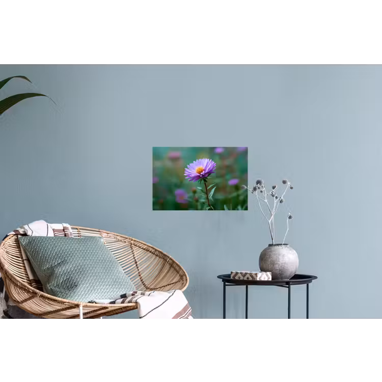Aster - Paars - Bloem - Blaadjes Muursticker klein -plant