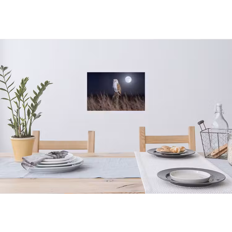 Kerkuil - Maan - Nacht Muursticker klein -eettafel