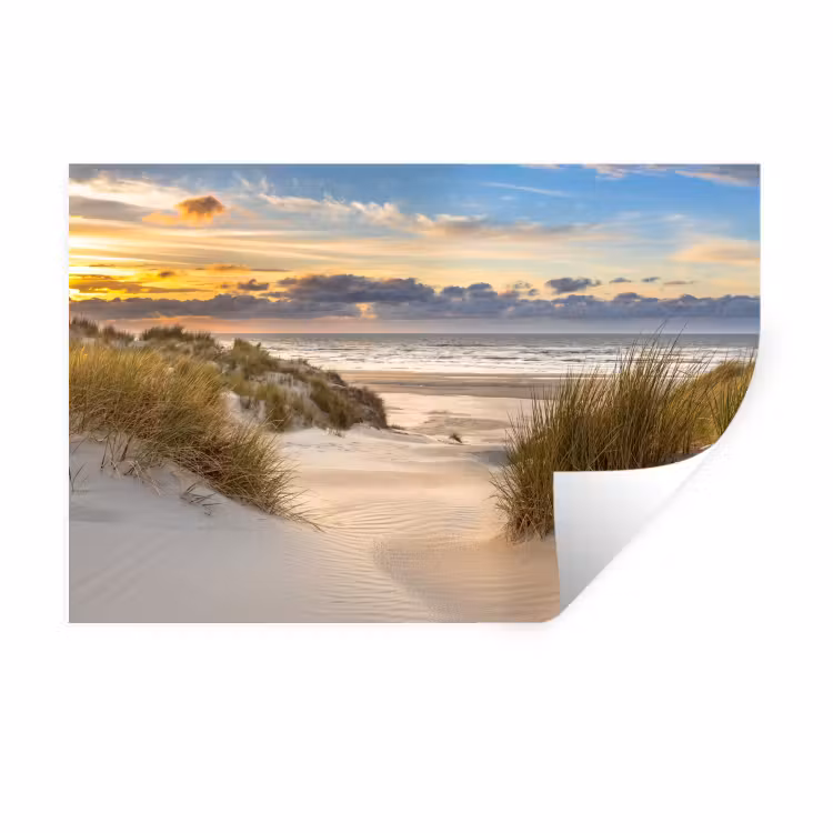 Strand - Duin - Gras - Zonsondergang - Zee Muursticker klein -3d