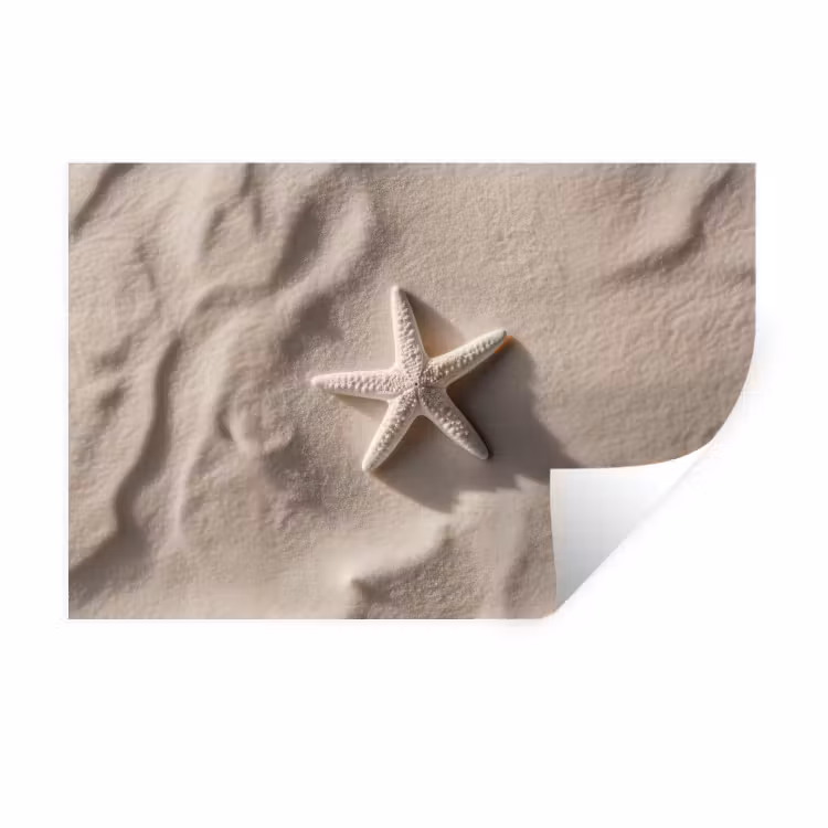 Strand - Zeester - Zand - Beige Muursticker klein -3d