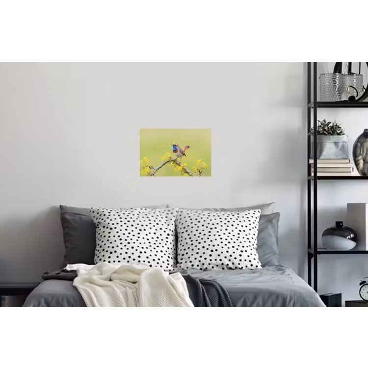 Vogel - Tak - Natuur - Kleurrijk Muursticker klein -slaapkamer