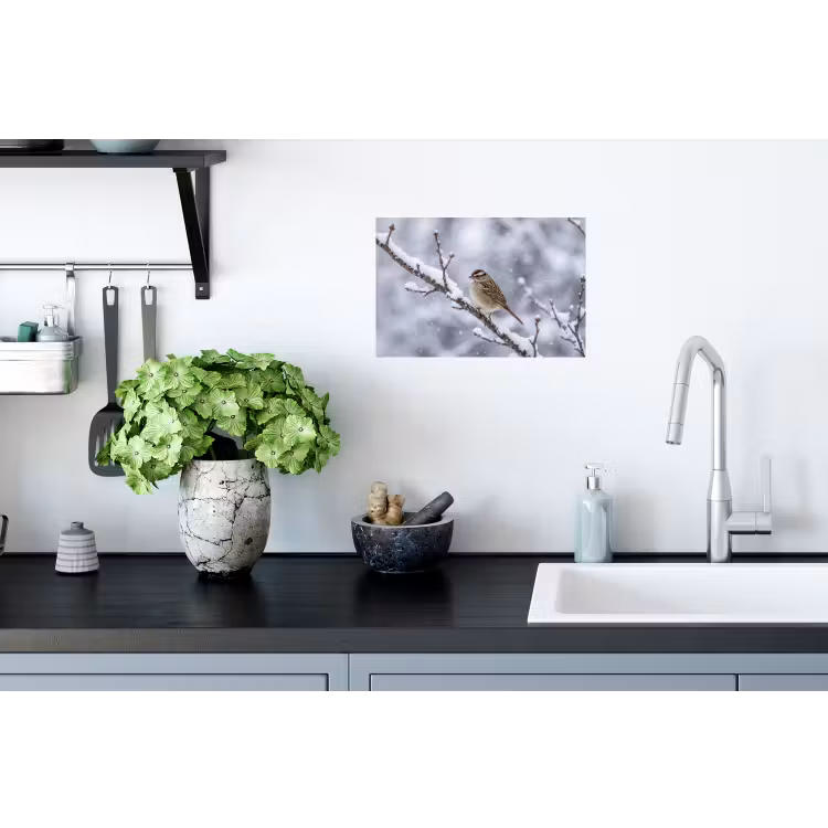 Vogel - Tak - Sneeuw - Winter Muursticker klein -keuken