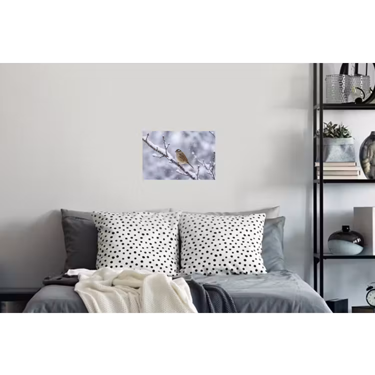 Vogel - Tak - Sneeuw - Winter Muursticker klein -slaapkamer