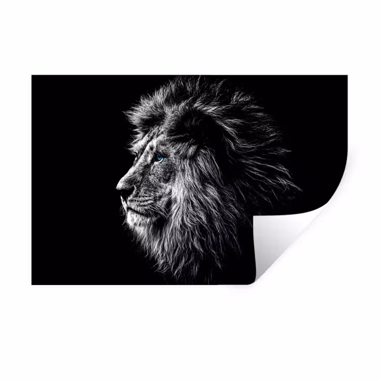 Zwart Wit - Leeuw - Kop - Dieren Muursticker klein -3d