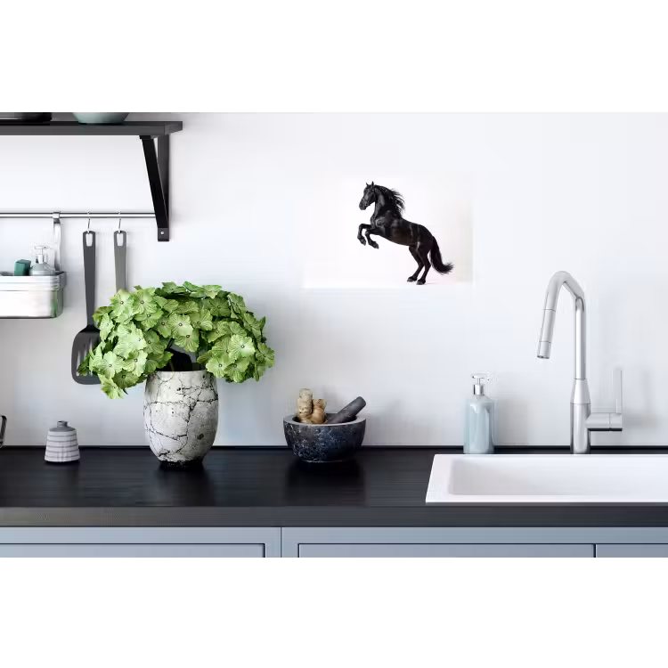 Zwart - Paard - Portret Muursticker klein -keuken