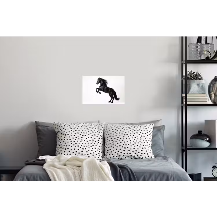 Zwart - Paard - Portret Muursticker klein -slaapkamer
