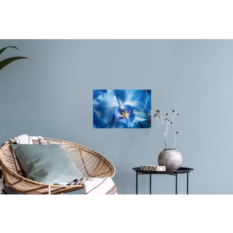 Blauw - Orchidee - Elegeant Muursticker klein -plant