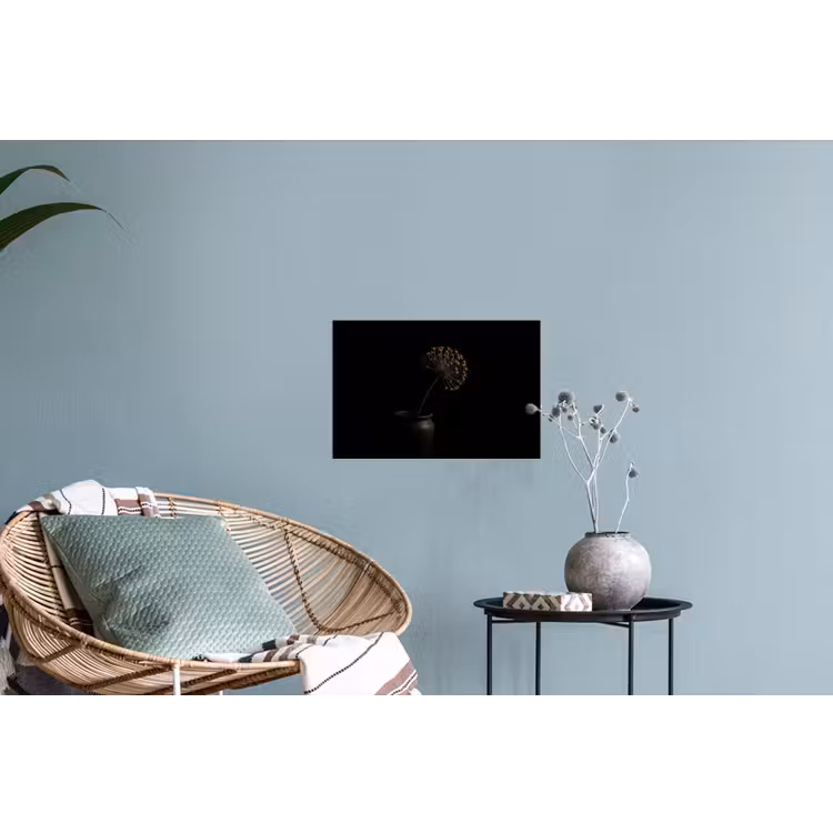 Bol - Gedroogd - Vaas - Zwart Muursticker klein -plant