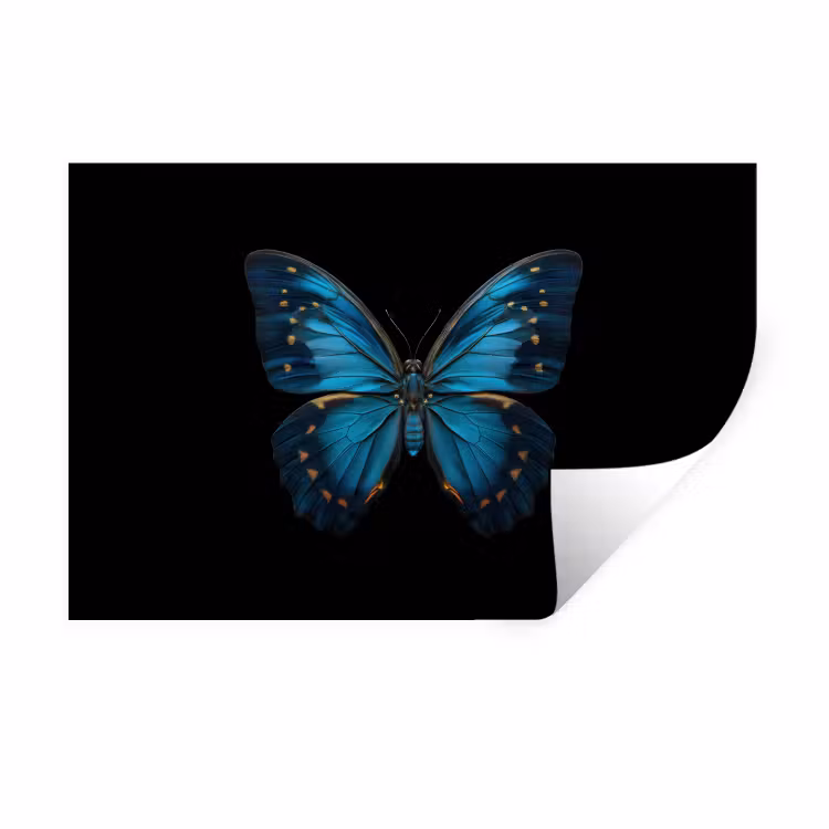 Vlinder - Blauw - Contrast Muursticker klein -3d