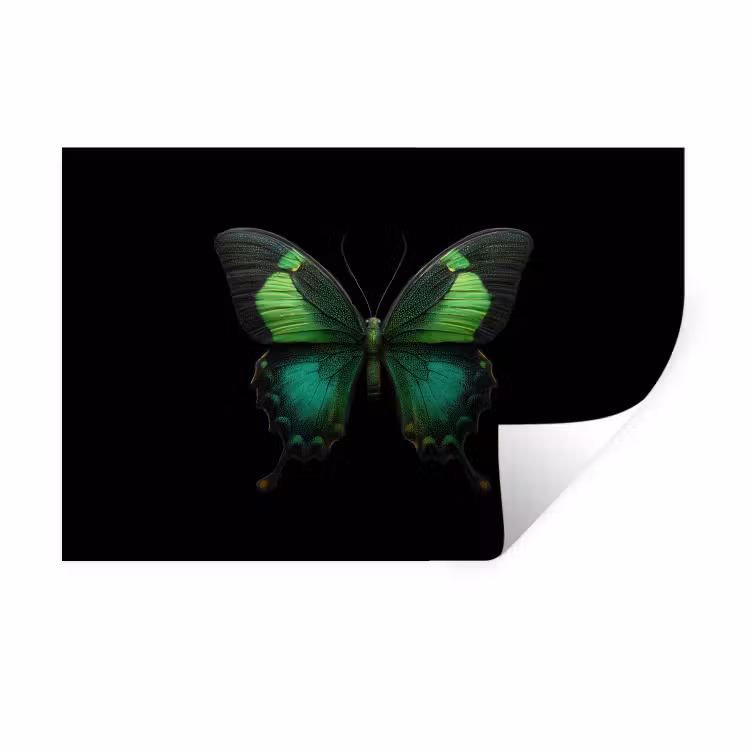 Vlinder - Groen - Opvallend Muursticker klein -3d