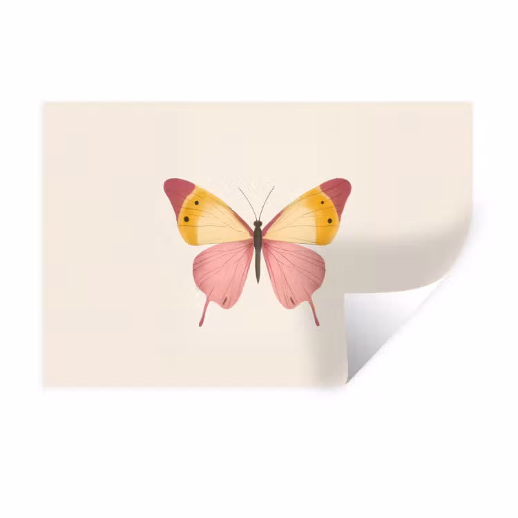 Vlinder - Illustratie - Roze Muursticker klein -3d