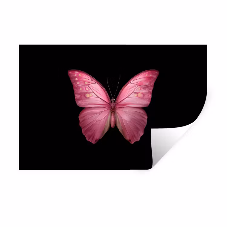 Vlinder - roze - Elegant Muursticker klein -3d