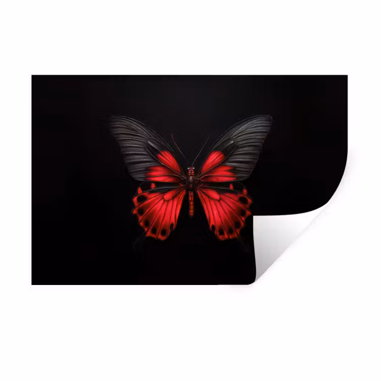 Vlinder - Rood - Contrast Muursticker klein -3d