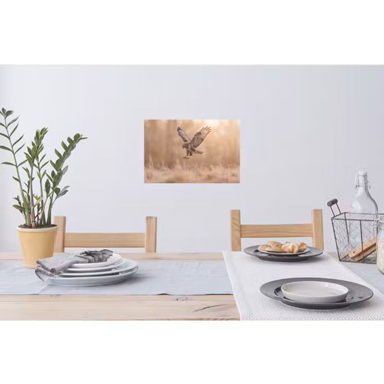Buizerd - Roofvogel - Natuur - Bruin Muursticker klein -eettafel