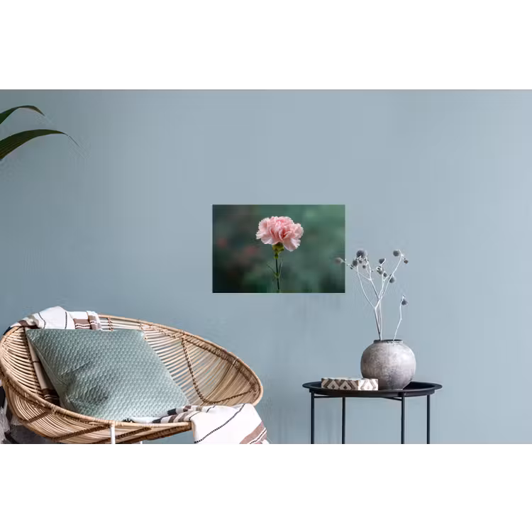 Anjer - Roze - Bloemblaadjes Muursticker klein -plant