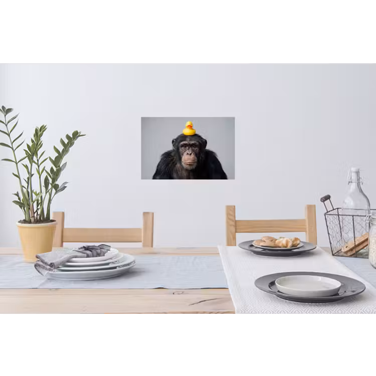 Chimpansee - Badeend - Grijs Muursticker klein -eettafel