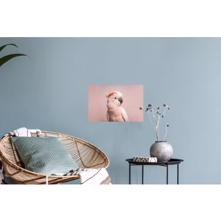 Kaketoe - Portret - Roze Muursticker klein -plant