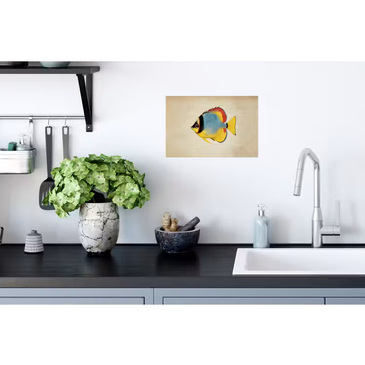 Kleurrijk - Vis - Schubben - Illustratie Muursticker klein -keuken