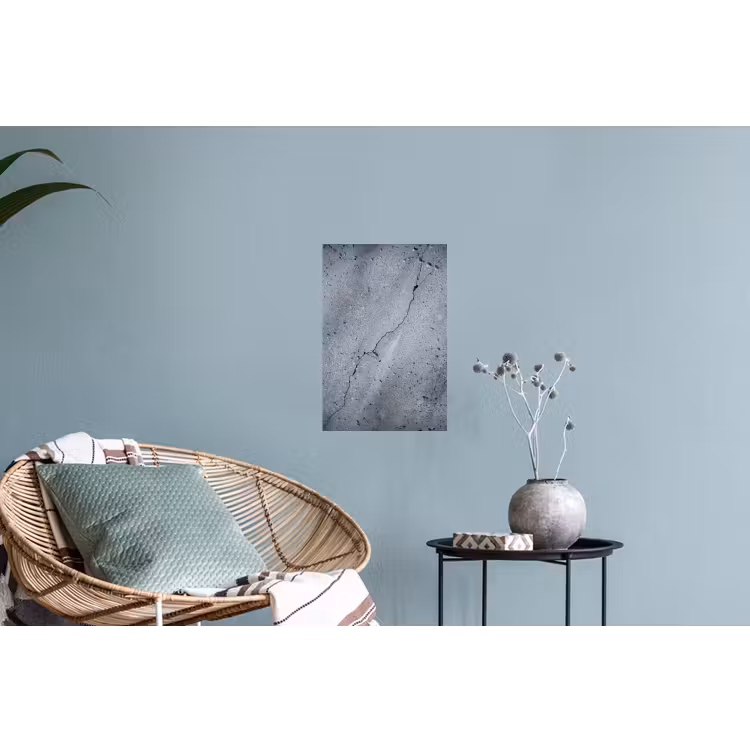 Beton - Grijs - Scheur Muursticker klein -plant