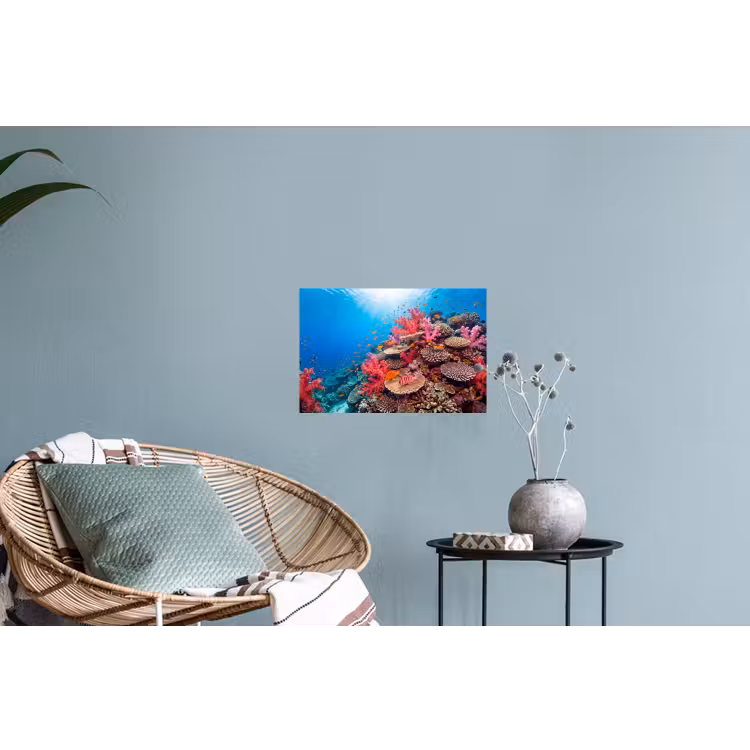 Koraalrif - Vissen - Onderwater - Tropisch - Rood Muursticker klein -plant