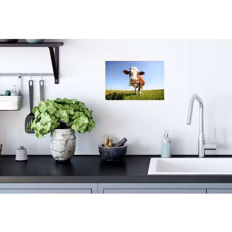 Koe - Dieren - Bloemen - Gras Muursticker klein -keuken