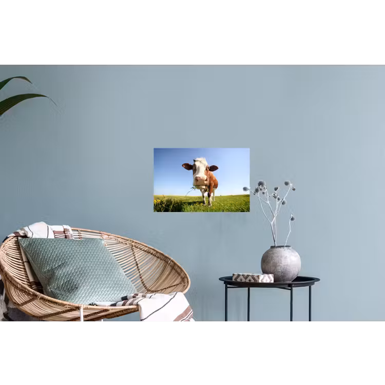 Koe - Dieren - Bloemen - Gras Muursticker klein -plant