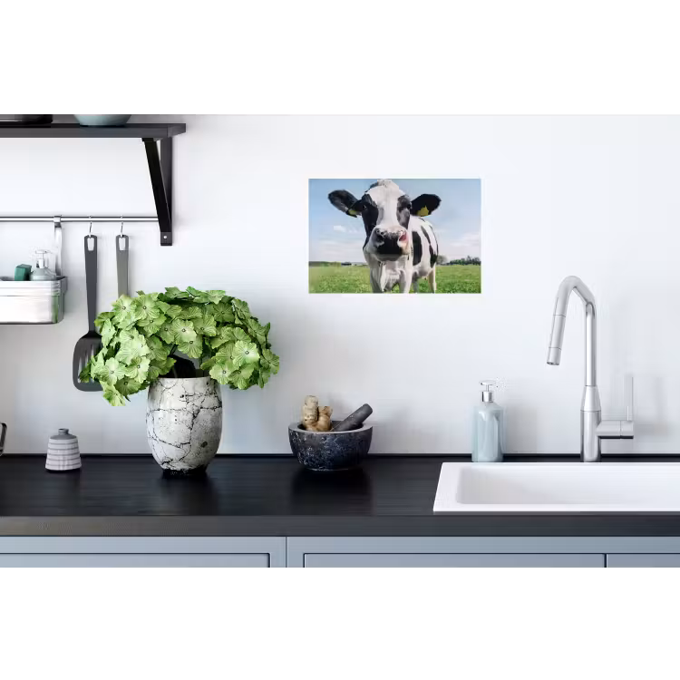 Koe - Weiland - Natuur - Dieren - Gras Muursticker klein -keuken