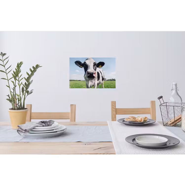 Koe - Weiland - Natuur - Dieren - Gras Muursticker klein -eettafel