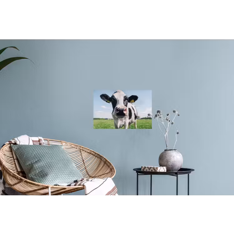 Koe - Weiland - Natuur - Dieren - Gras Muursticker klein -plant
