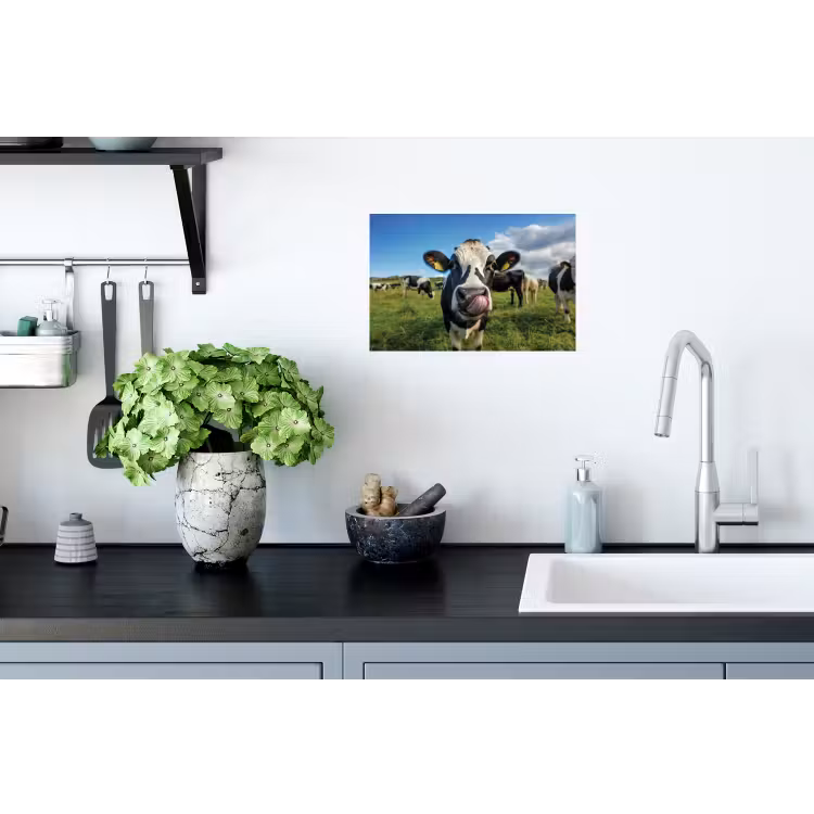 Koe - Tong - Weide Muursticker klein -keuken