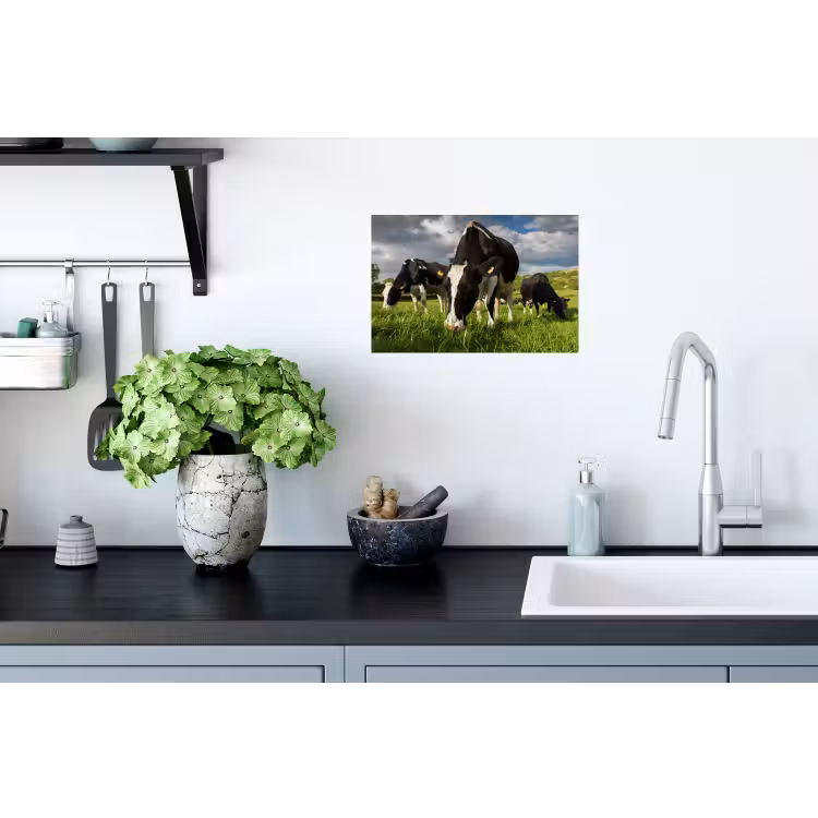 Koeien - Dieren - Gras - Weiland - Boerderij Muursticker klein -keuken