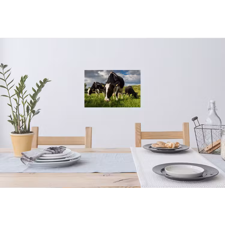 Koeien - Dieren - Gras - Weiland - Boerderij Muursticker klein -eettafel