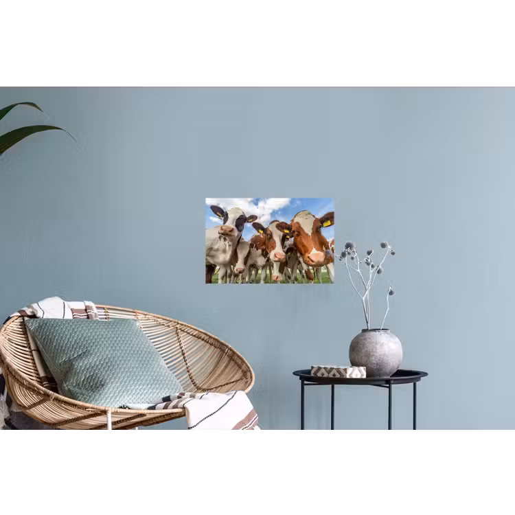 Koeien - Dieren - Weiland - Natuur Muursticker klein -plant
