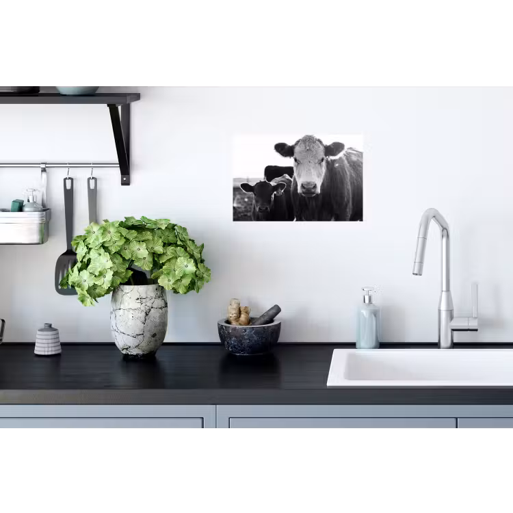 Koeien - Zwart - Wit Muursticker klein -keuken