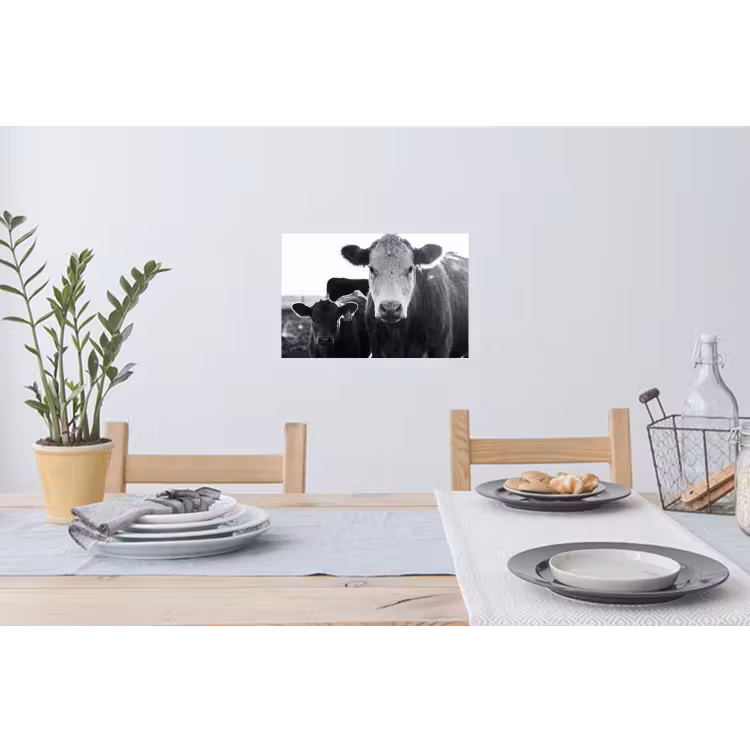 Koeien - Zwart - Wit Muursticker klein -eettafel