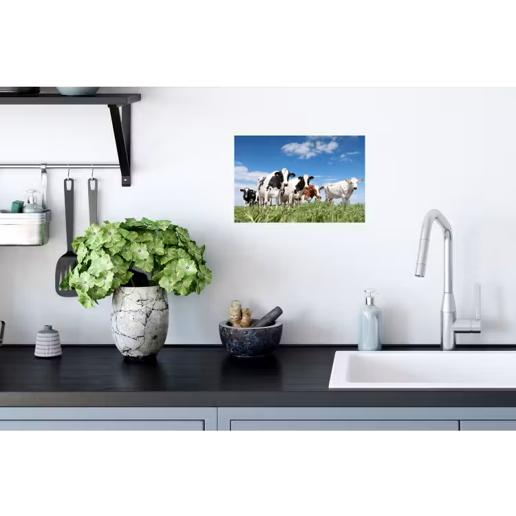 Koeien - Platteland - Weiland - Natuur - Dieren Muursticker klein -keuken