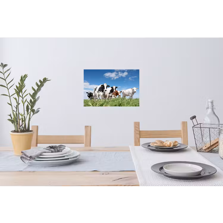 Koeien - Platteland - Weiland - Natuur - Dieren Muursticker klein -eettafel
