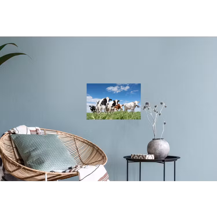 Koeien - Platteland - Weiland - Natuur - Dieren Muursticker klein -plant