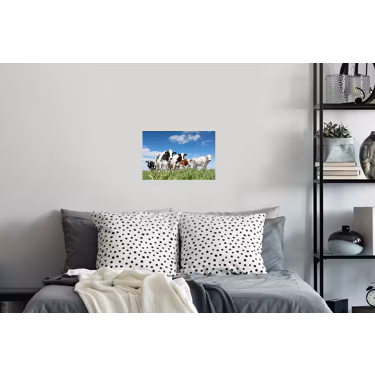 Koeien - Platteland - Weiland - Natuur - Dieren Muursticker klein -slaapkamer