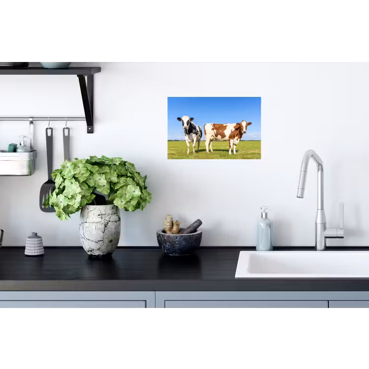 Koeien - Boerderij - Gras- Natuur - Dieren Muursticker klein -keuken