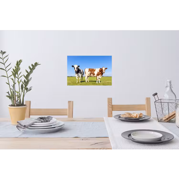 Koeien - Boerderij - Gras- Natuur - Dieren Muursticker klein -eettafel