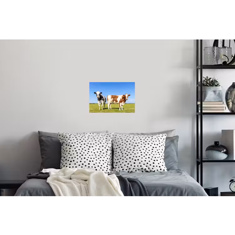 Koeien - Boerderij - Gras- Natuur - Dieren Muursticker klein -slaapkamer