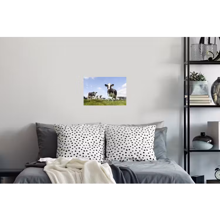 Koeien - Gras - Dieren - Zon - Boerderij Muursticker klein -slaapkamer