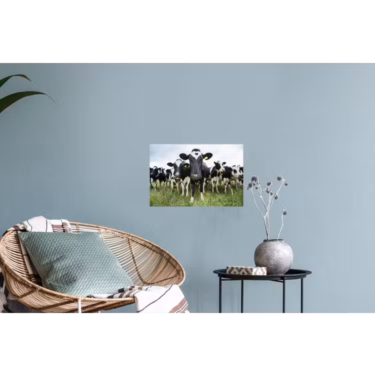 Koeien - Gras - Lente - Dieren - Weiland - Boerderij Muursticker klein -plant