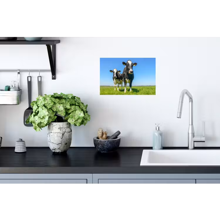 Koeien - Weiland - Gras - Dieren - Boerderij Muursticker klein -keuken
