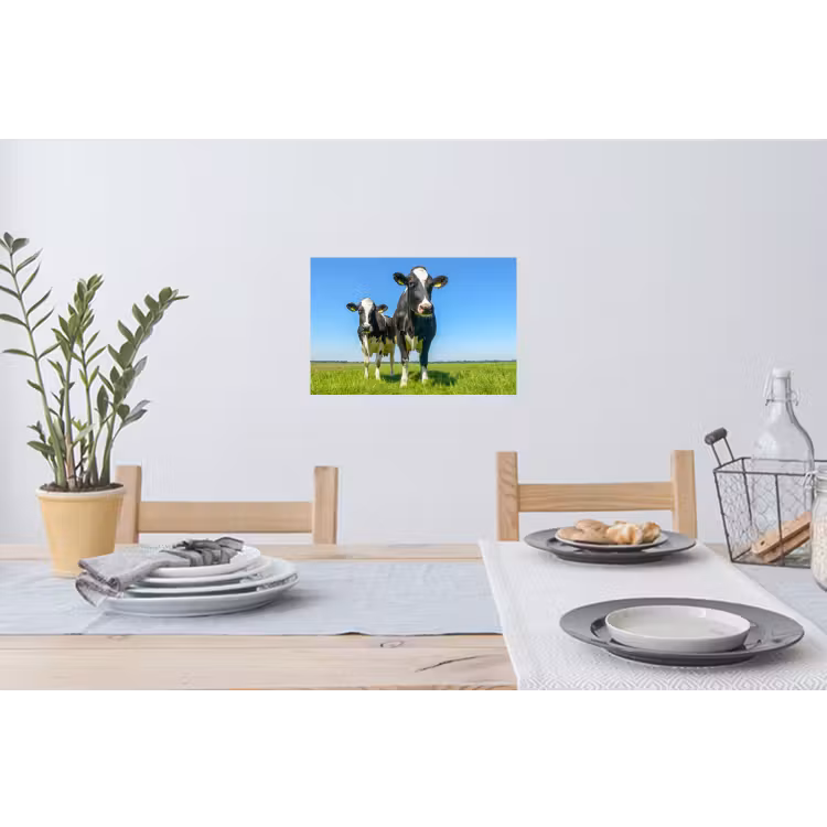 Koeien - Weiland - Gras - Dieren - Boerderij Muursticker klein -eettafel