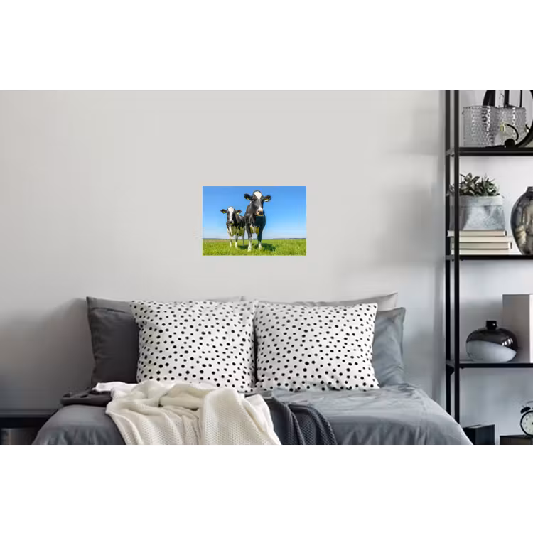 Koeien - Weiland - Gras - Dieren - Boerderij Muursticker klein -slaapkamer