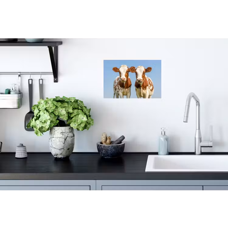 Koeien - Lucht - Dieren - Boerderij - Portret Muursticker klein -keuken