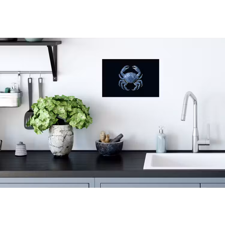 Krab - Delfts blauw - Dieren Muursticker klein -keuken
